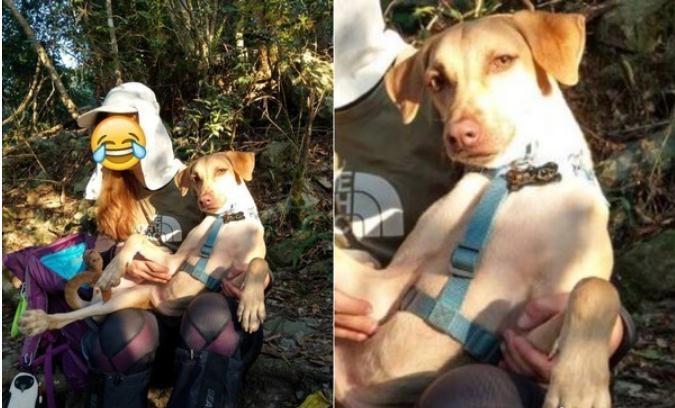 米克斯见镜头摆名模造型眼神妩媚, 妈妈大笑: 没叫你放电