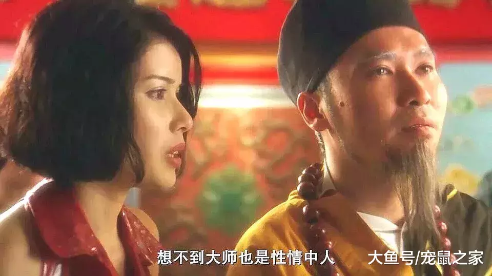 一文带你走进仓鼠世界: 仓鼠种类之坎贝尔仓鼠