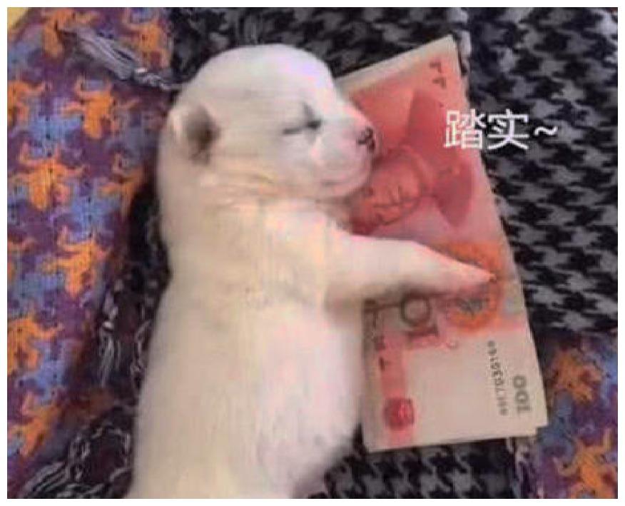 头次见如此“财迷心窍”的小狗, 睡觉得搂着钞票, 网友: 好梦!