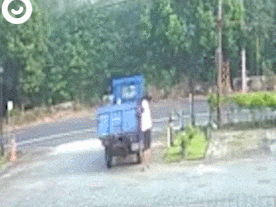 它追了主人整整20条街, “你怎么忍心抛下我…”