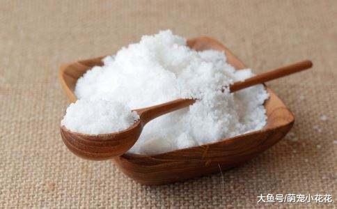 日常中的6种“美食”, 再好吃也不要给狗狗喂, 丢命你负责不起!