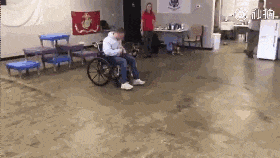 为了不当服务犬, 这只狗真的超拼...网友: 求求你们放过它吧!