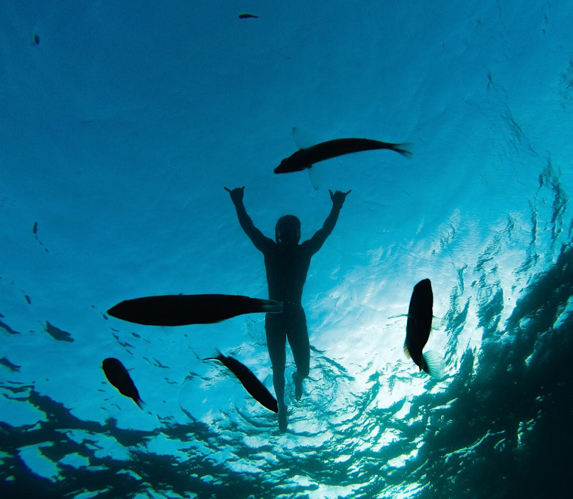 养鱼前VS养鱼后: 呵, 就知道骗我养鱼