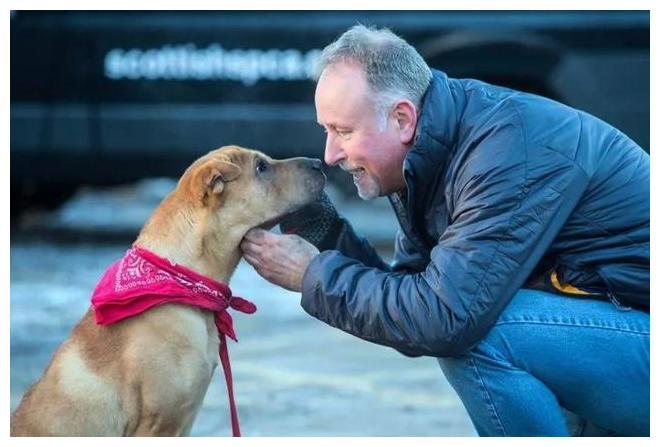 狗狗被人丢在火车站, 抛弃原因错综复杂, 直到他的出现一切明朗了