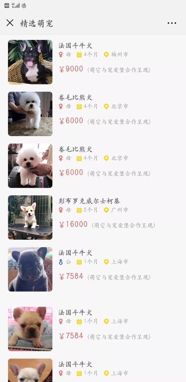 一个犬舍如何经营, 就看他如何运用手里资源