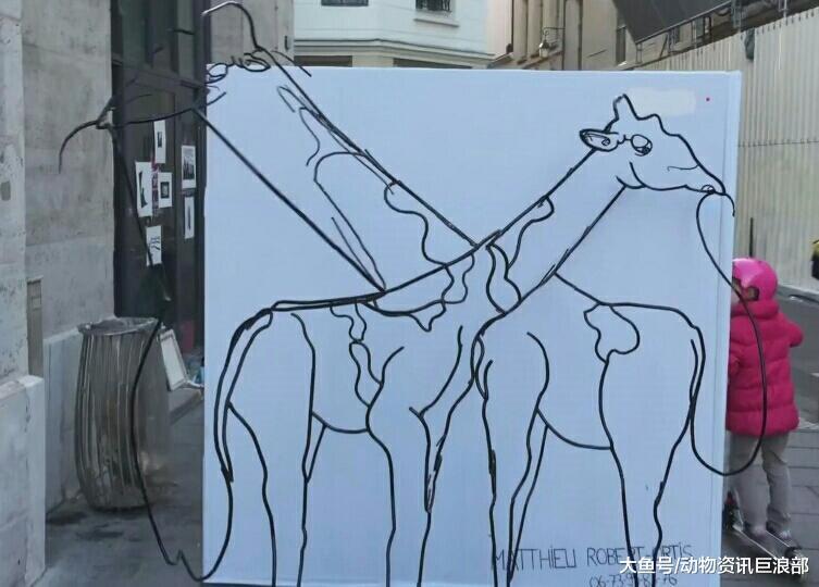 加鸡腿! 超牛艺术家作品 正看是长颈鹿 侧看是大象