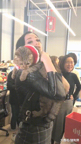 北极星小姐姐大型吸猫现场, 网友: 放开那只猫, 有什么事冲我来!