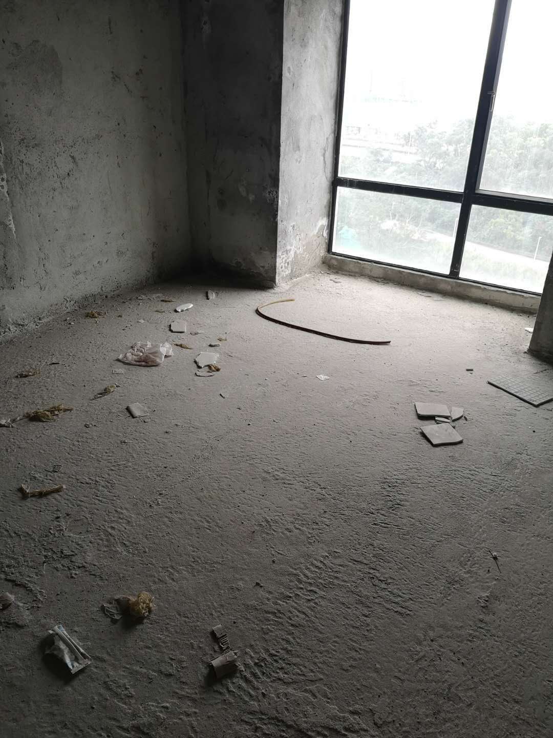布吉丹竹头还有村委房? 才1.2万一平方? 原始户型