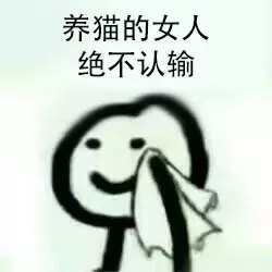 猫窝, 是对喵星人灵魂的侮辱
