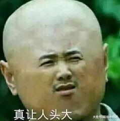 大暖男是真的吗? 得知金毛那些缺点之后网友感慨: 幸好没养!