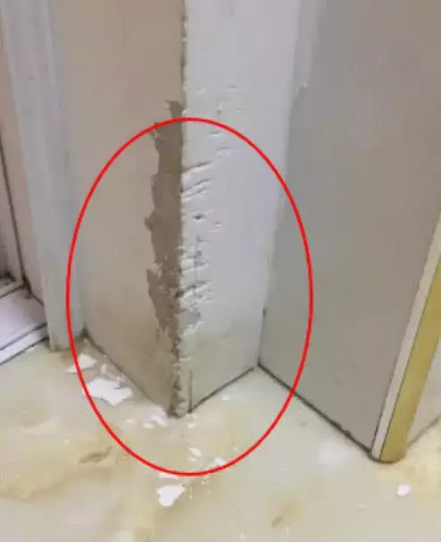 花1000买的二哈, 养3天主人彻底崩溃, 主人: 两百包邮谁要买