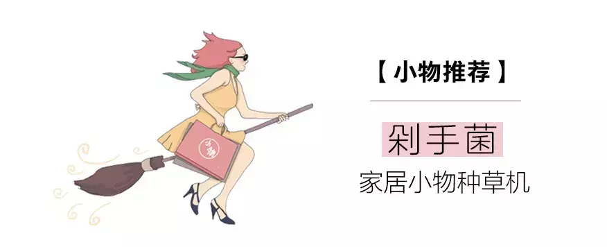 丝绒风火了整个2018年, 这股妖风吹到家居界......