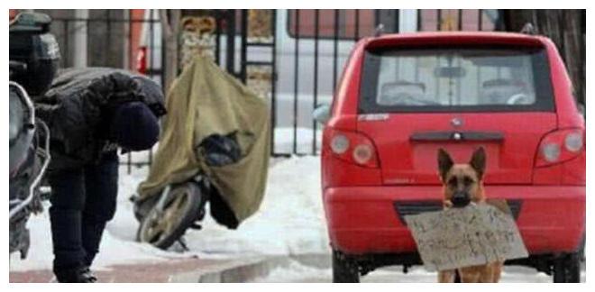 母狗上街想找回孩子, 嘴上叼着一张纸, 上面的文字字字锥心!