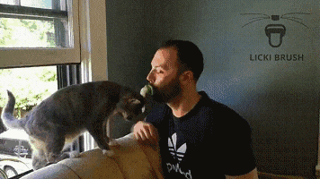 白雪公主和两只大舔狗: 如果不是真的喜欢, 谁又喜欢做舔狗呢