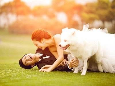 养狗有利于健康以外, 还有这6个奇特的好处!