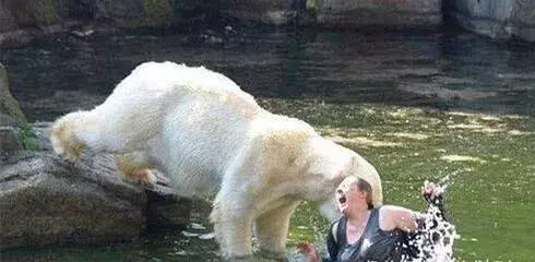 这10种恐怖动物, 呈现在你眼前, 哪一种会让你心跳加速?