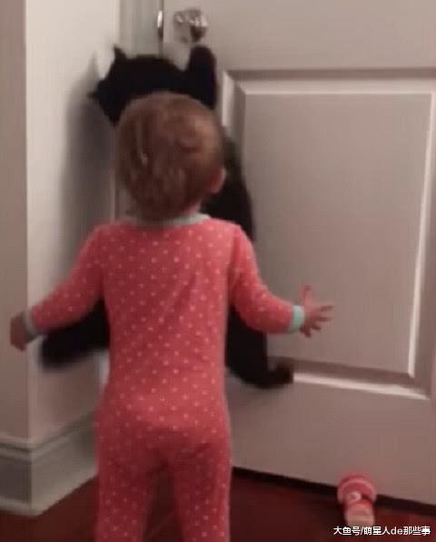 宝宝打不开门, 向猫咪求救, 宝宝: 你帮打开