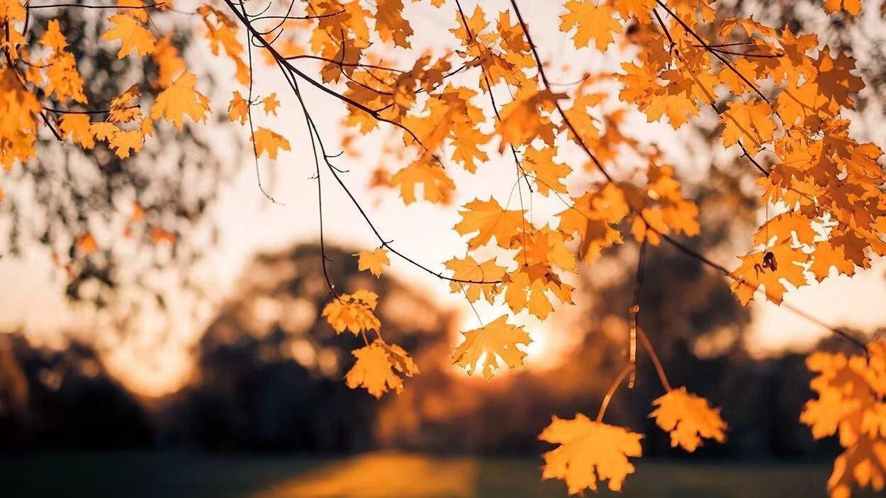 遇到她的那一瞬间, 是否让你特别希望拥有自己的房子? 看完扎心了