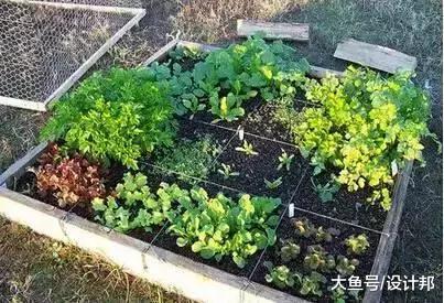这9种物品用完一定不要扔掉, 我家竟扔了8个现在只能吃灰了!