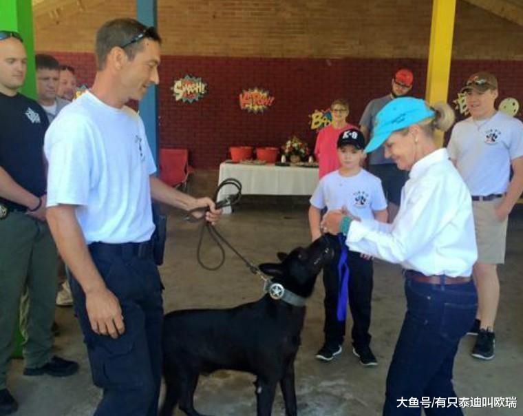 警官遭黑帮份子拖入森林鞭打快死, 机灵警犬英勇「1个打3个」救回一命!