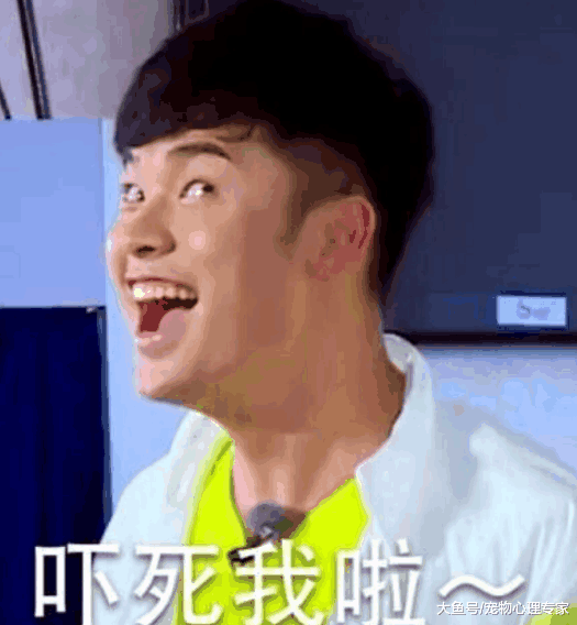 橘猫霸占车座, 小哥刚想下手温柔撸一把, 抬头瞬间: 打扰了