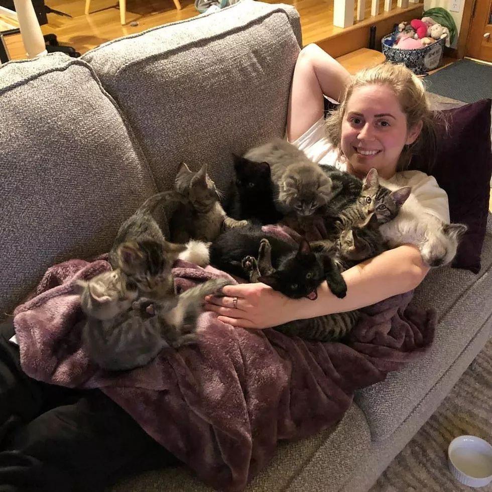 照顾小奶猫可谓十分辛苦, 但能看到这一幕再苦也值得!