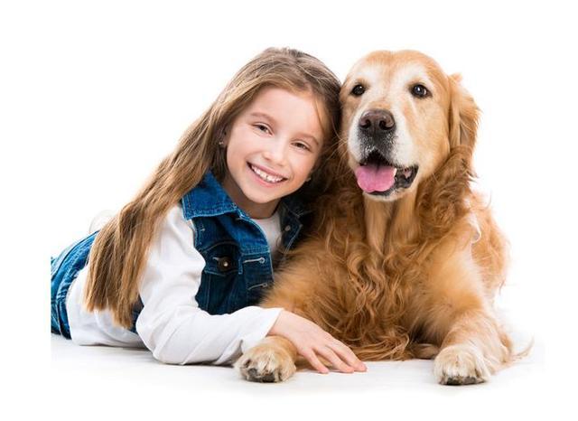 养狗有利于健康以外, 还有这6个奇特的好处!