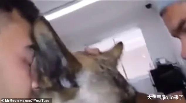警犬患上不治之症, 年轻警察选择这样的方式陪它走完最后一程……