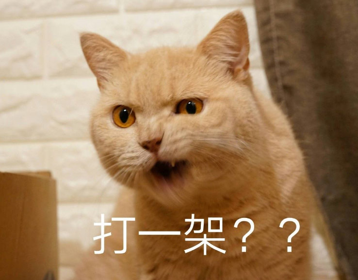 猫咪们被关玻璃门内看主人吃烤肉, 一只只凶神恶煞的: 你敢吃独食