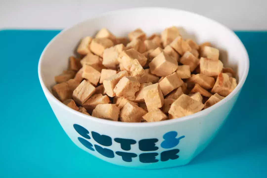 主人帮助狗狗减肥, 结果自己瘦了? 这是什么秘方?