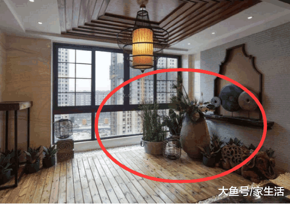 家里再怎么穷, 回家这几处地方也要放上植物, 不久财运就到来