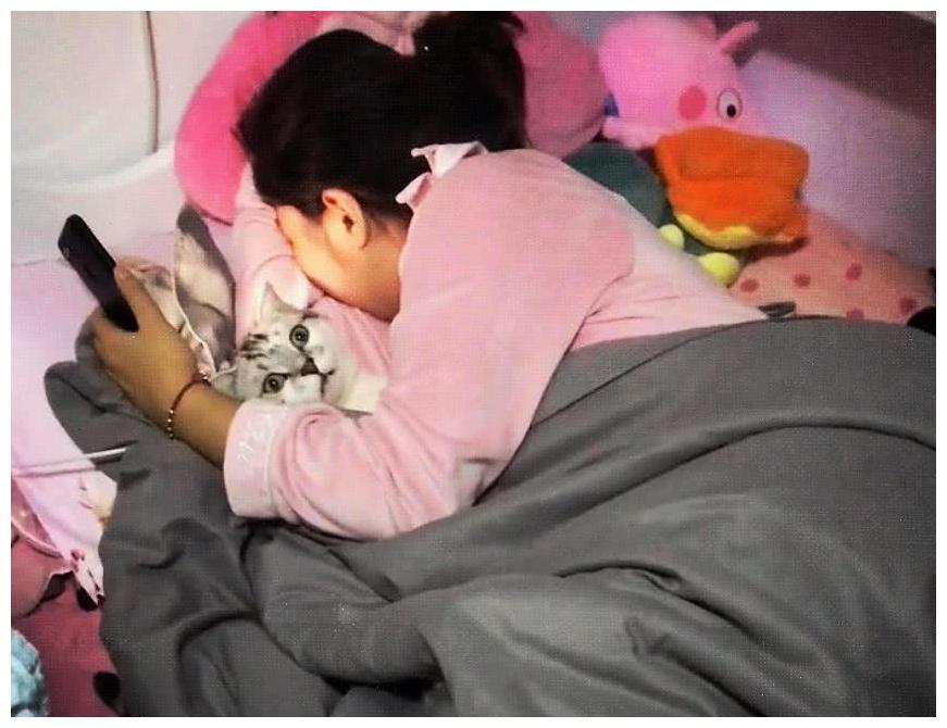 猫咪被寝室同学抢走, 直接带进被窝里, 猫猫委屈了: 我被玷污了