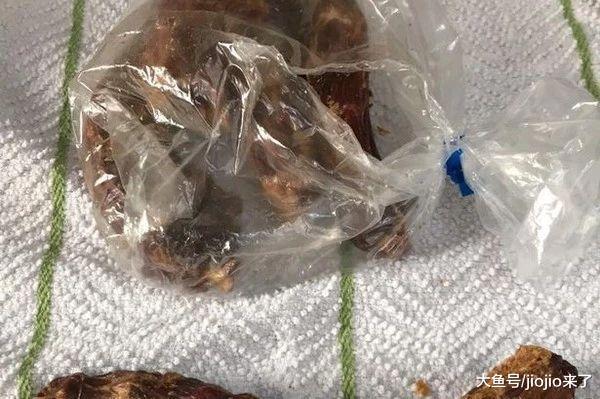 只是给狗狗吃了个零食, 没想到爱犬却因此丧了命……