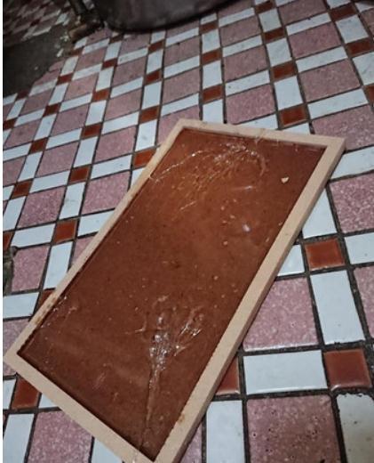 黏鼠板捕到大尾巴, 用花生油反复搓揉, 腊肠犬洗5次澡背影超哀怨