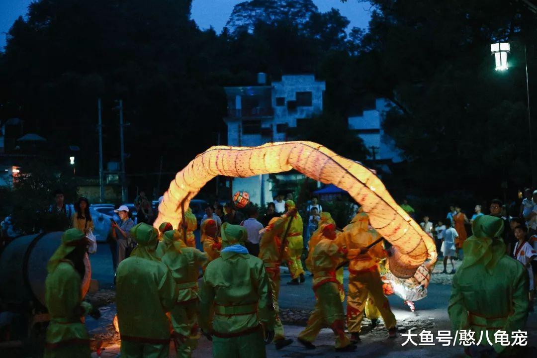 小隐的素言素语: 致青春里的大樟树