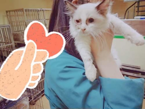 弃养等同于谋杀! 在国外, 这些重罪的行为, 在我们国家每天都在发生