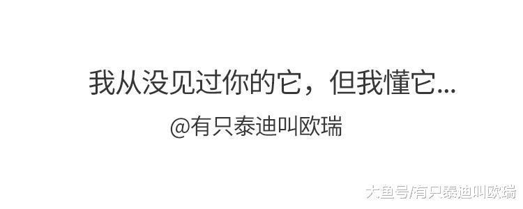 救难人员撬开海龟嘴巴, 接着拉出「一大条长长的麻绳」从胃袋最深处看到绝望!