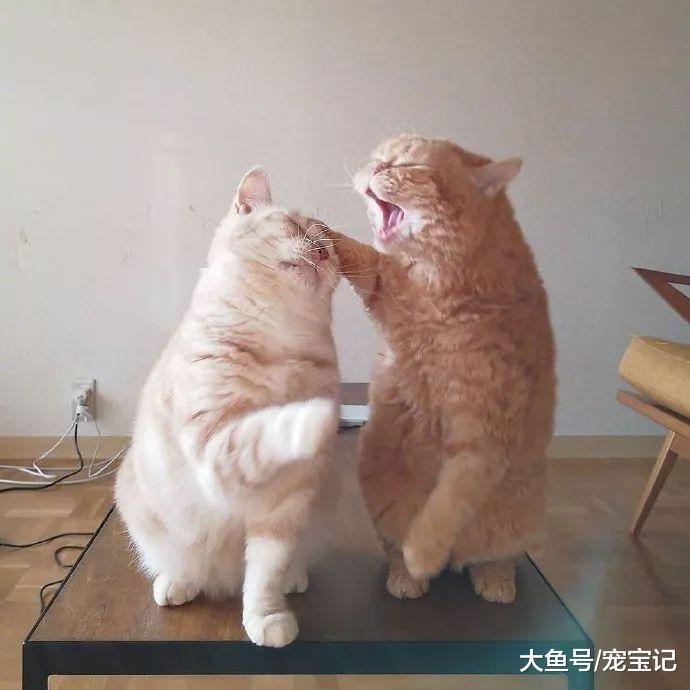 在一起有摩擦也会吵架, 但是凑合过呗, 还能离咋滴?