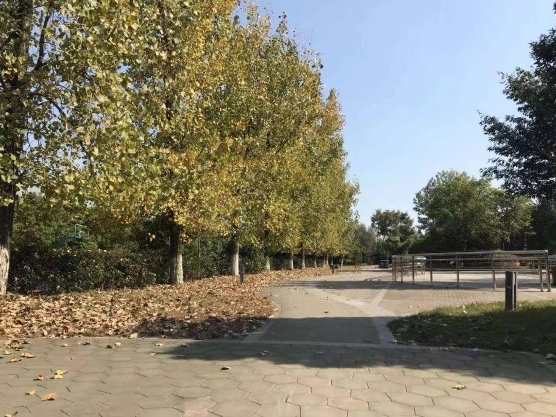 实踩|精装11800元/㎡起! 金牛区神盘热度可能超人居花照云庭