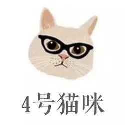 4只猫咪选一只, 一下看穿你的情感路哦!