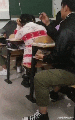 主人把狗狗带到教室里, 还用手给它当枕头, 狗: 一上课我就犯困!