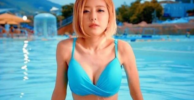 如果说美国人爱枪, 那么韩国人就是爱宠物了, 家家有人人养的地步