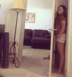 跟狗狗玩捉迷藏, 感觉智商受到了侮辱!