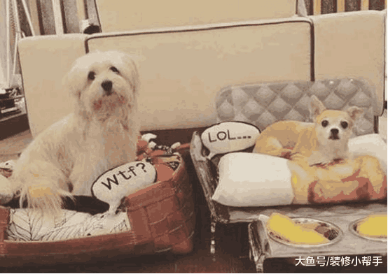 萧亚轩的房子首次曝光, 电梯直通客厅, 内部装修真奢华