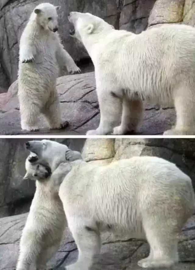 2019, 你们一定都要好好的!