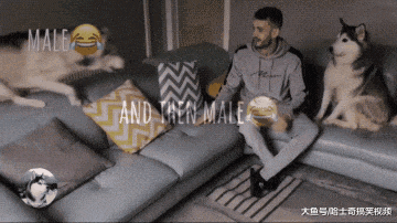 主人抱着“二胎”, 二哈的表情亮了, 网友: 女主人扎心了