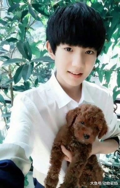 明星宠物大盘点, 有的可爱有的呆萌, 只有她的最霸气!