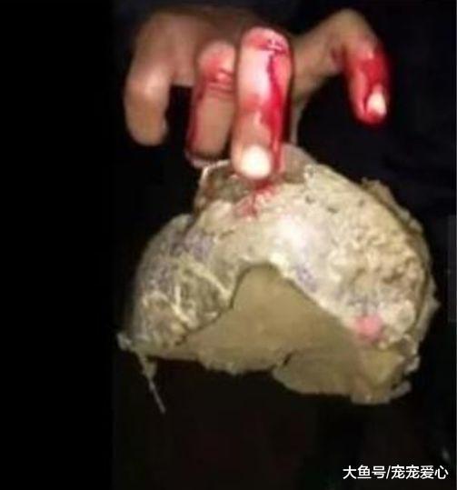 男子发现河里有个陶罐, 刚想拿起来手指刺痛流血, 看清后满脸高兴