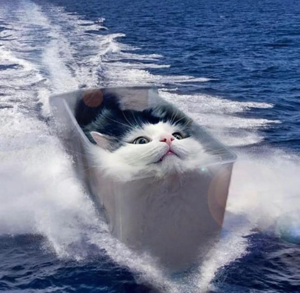 喵星人要是称霸地球上的所有物种, 那会是哪番光景?