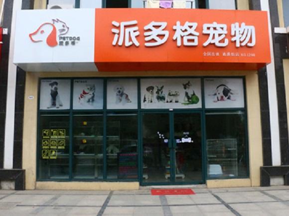 在韶关开宠物店要怎么经营|发展潜力大!
